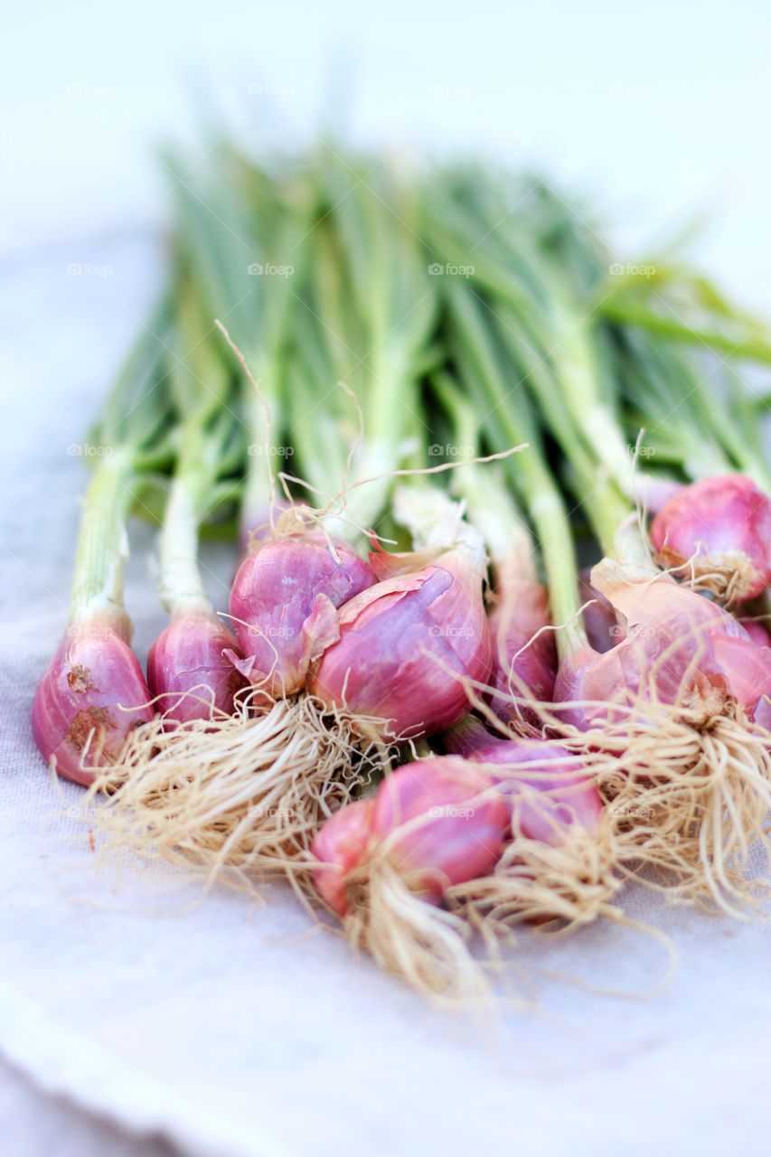 Close-up of freshly shallots