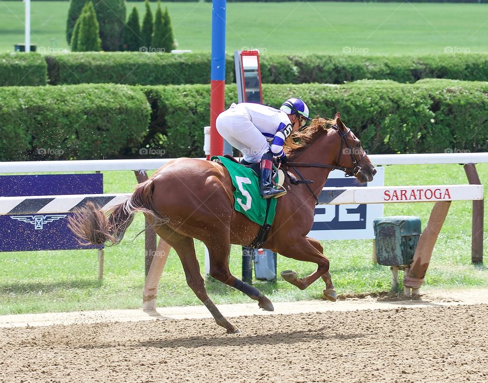 Irish Danzing Waltzing home at Saratoga by Fleetphoto