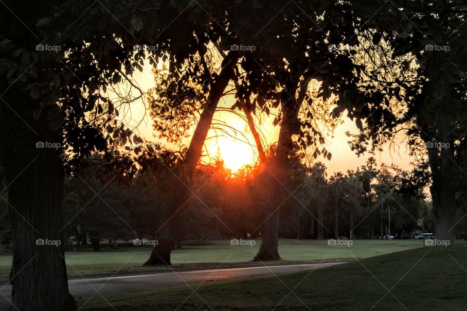 early morning sunrise over South Land Park