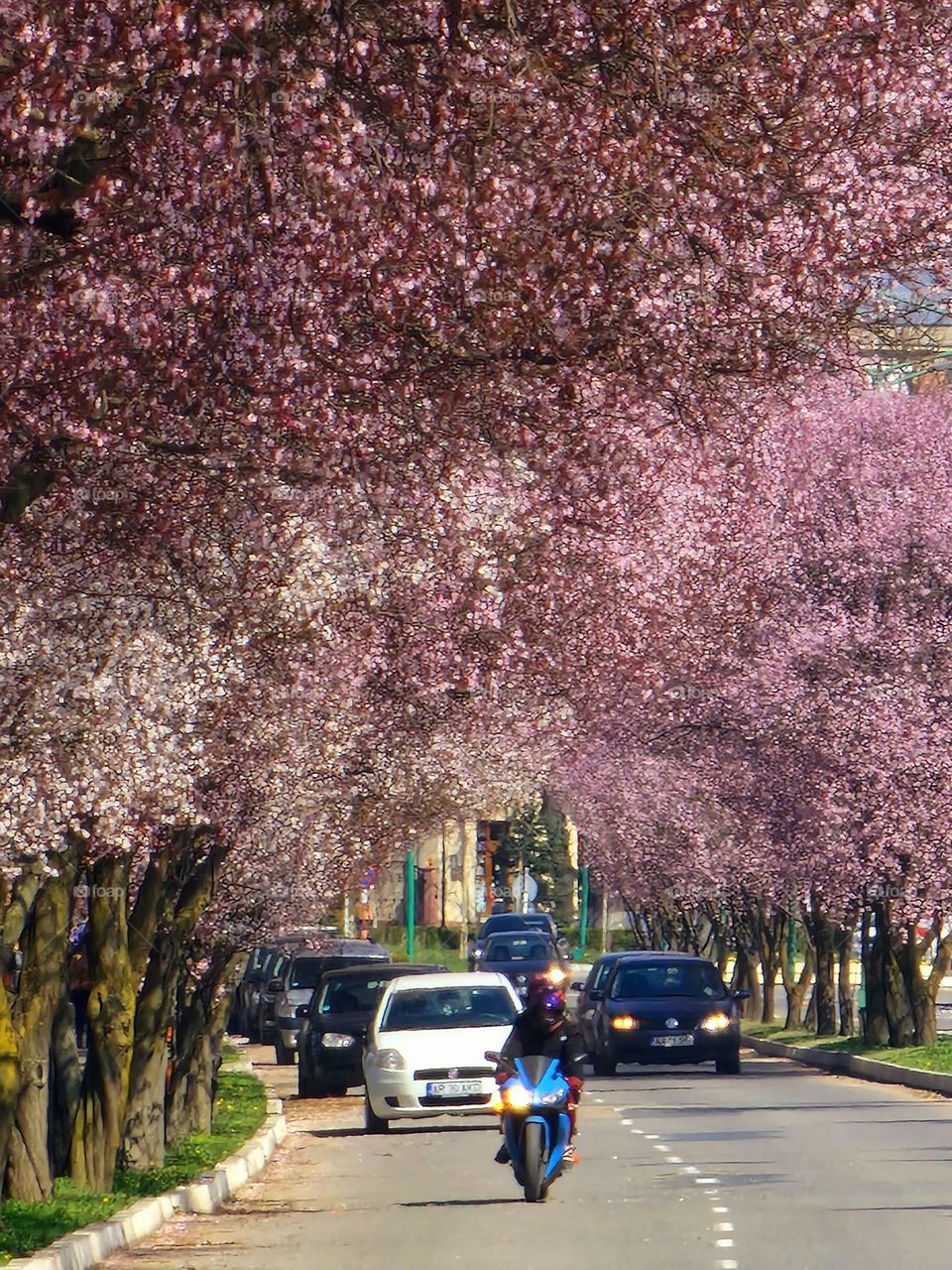 spring in the city of Ineu