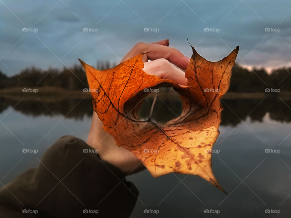 Female hand holding orange autumn leaf in front of blue lake water 