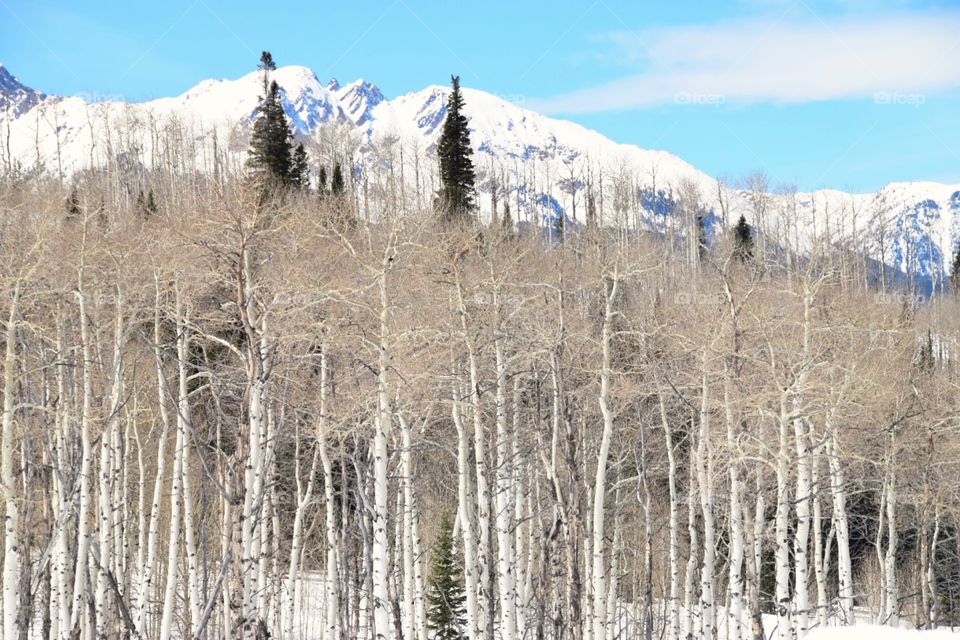 Colorado Mountains in winter