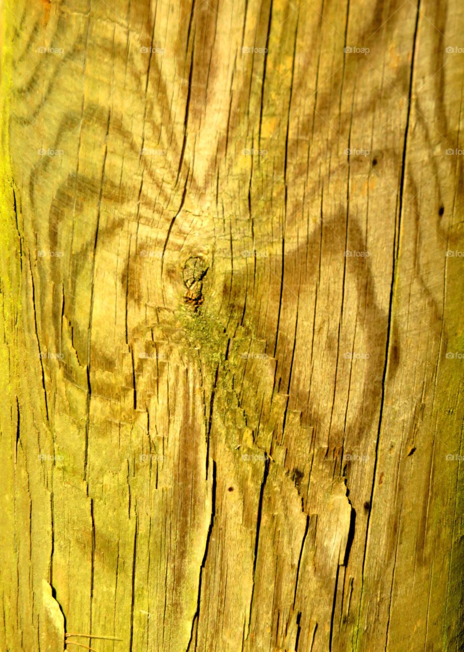 wood pattern