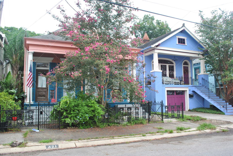 Colorful houses in New Orleans