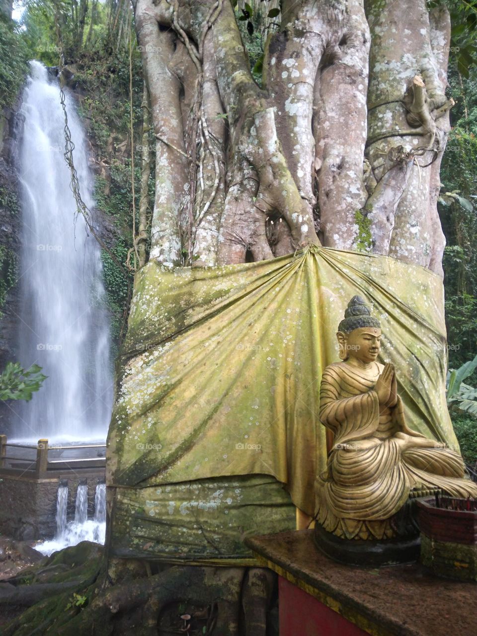 Buddha statue in front of a big tree & the waterfall (coban grojokan sewu waterfall Pujon, East java Indonesia)