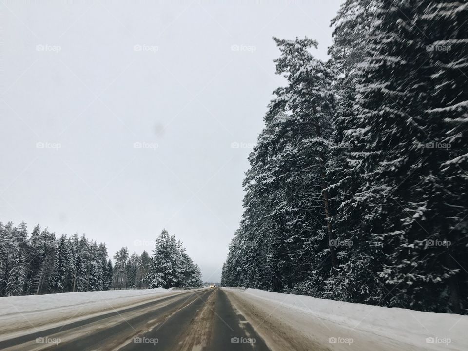 Winter road trip