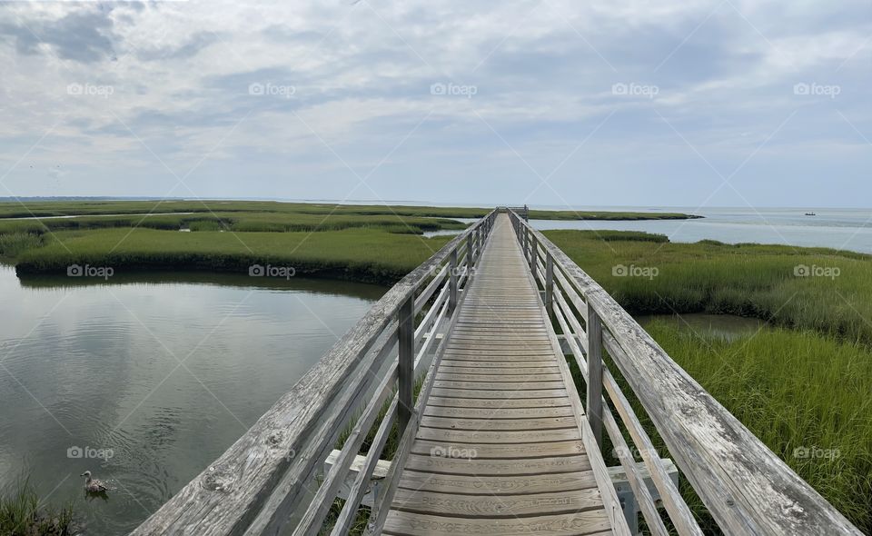 Boardwalk over marsh at Gray’s Beach