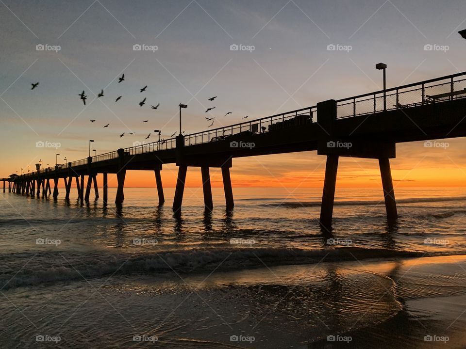 Sunrises and sunsets of USA - Birds in a cluster silhouette fly over the fishing pier during sunset 