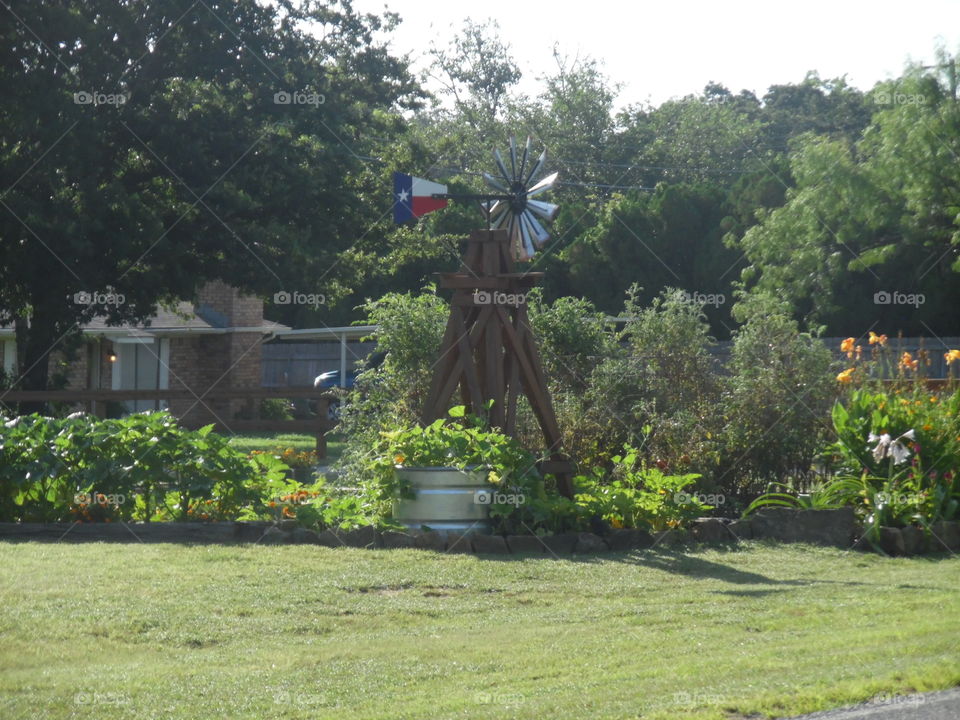 Texas wind 💨 mill. This is a picture of some decoration that I saw while out walking 🚶 🏃 🔥 💨 this morning