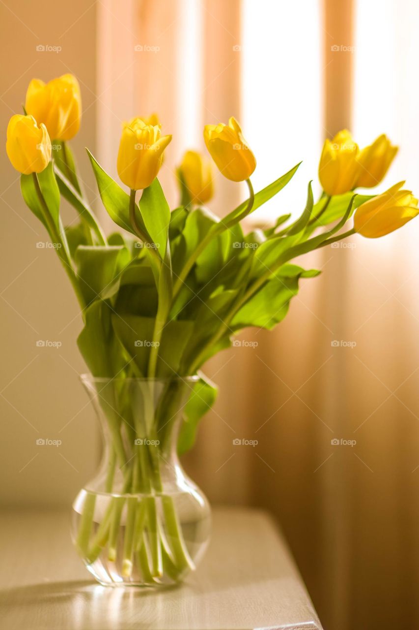 Yellow tulips