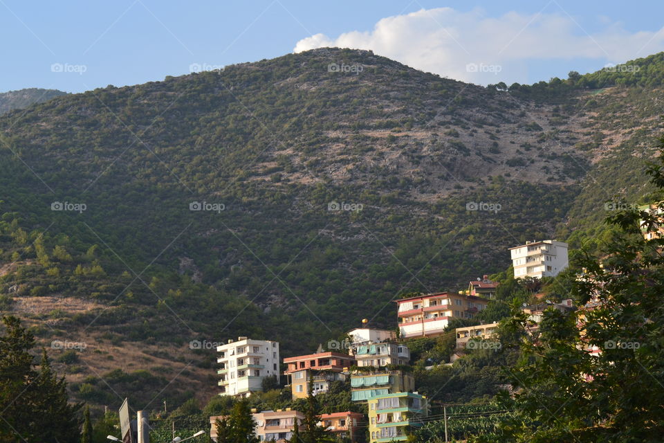 houses on a hill