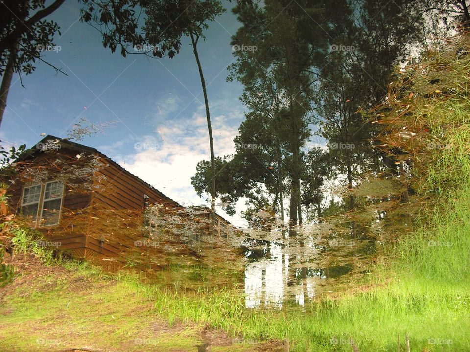 Water Reflections Cabin