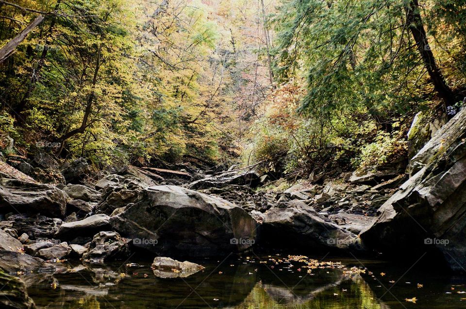 Hiking along the creek bed on the Bruce Trail.