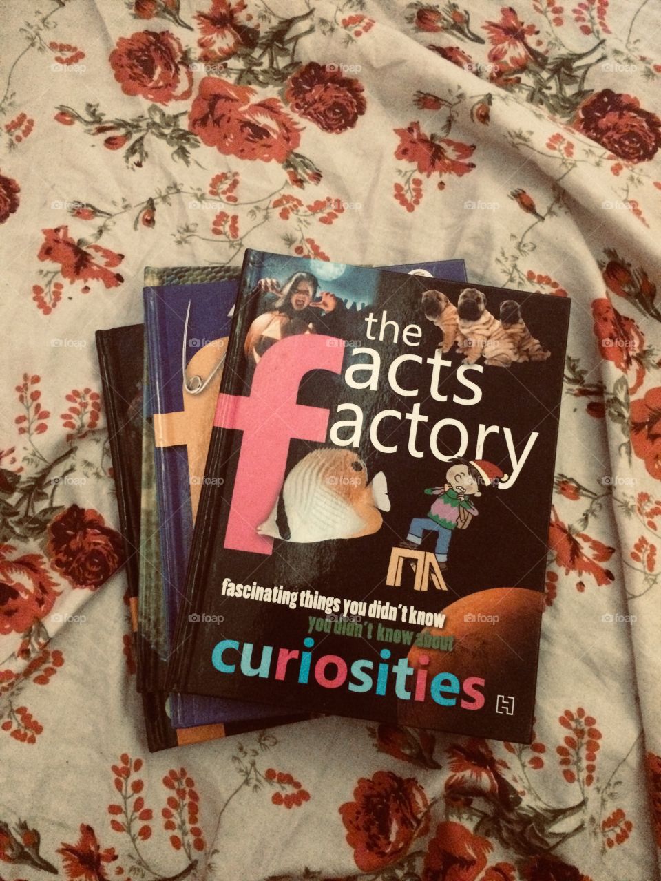 Facts book