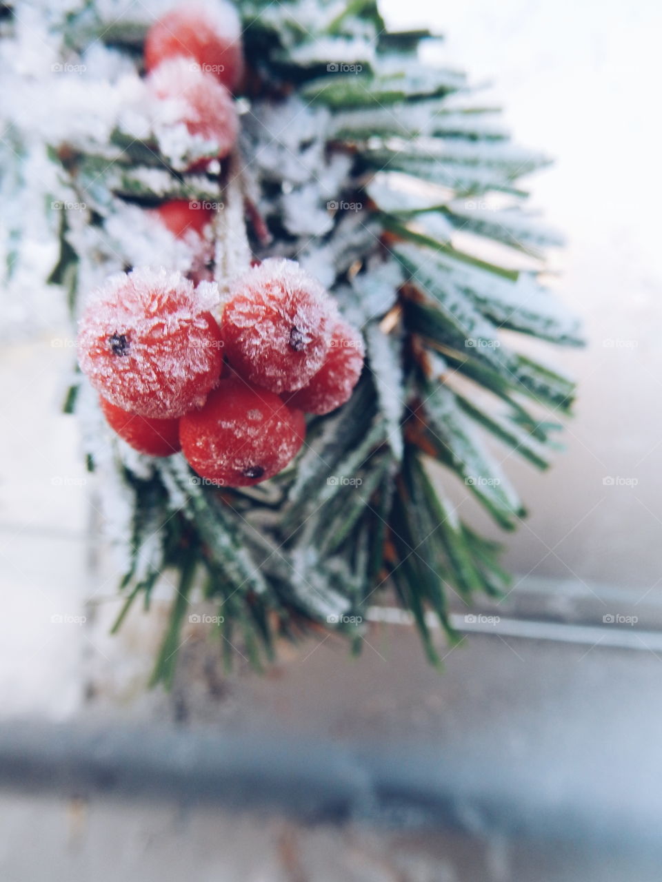 Close-up of christmas decoration