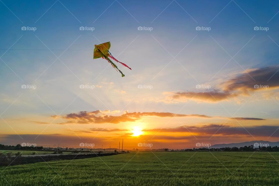 Flying a kite