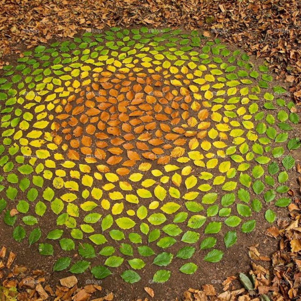 awesome Creativity with leaves