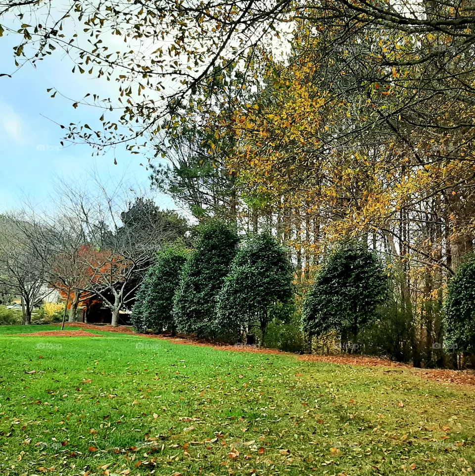 Early December