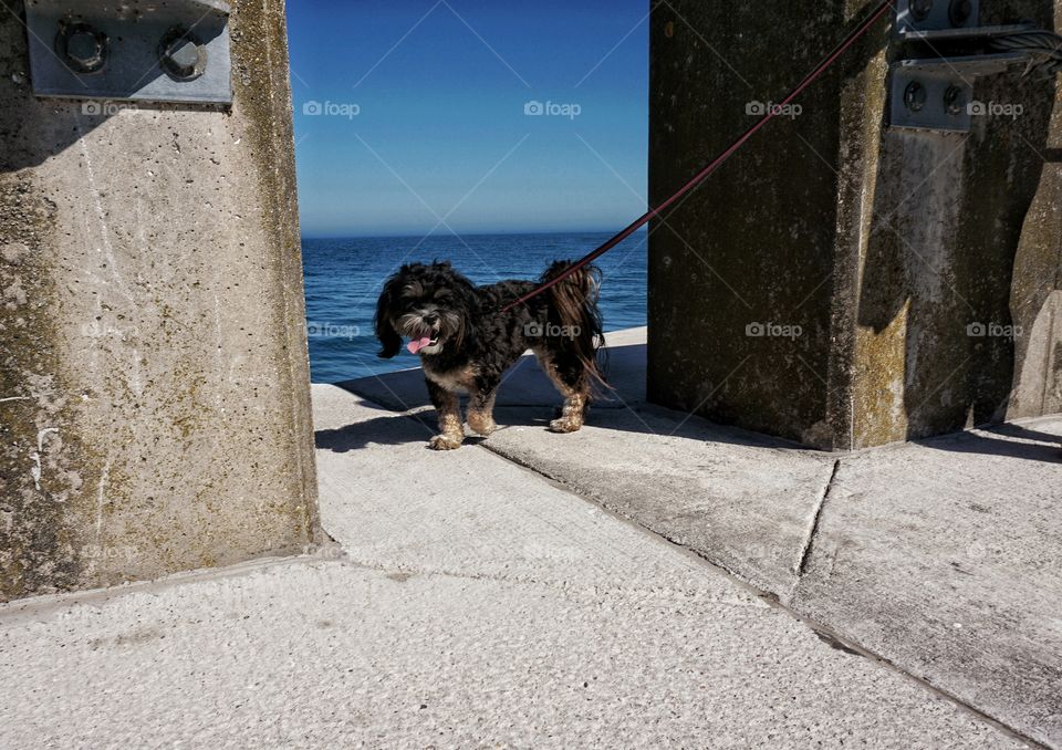 Walking on the Pier