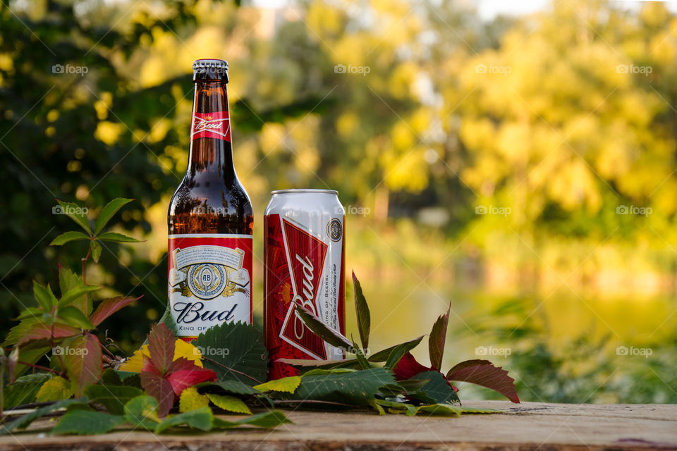 bottles of beer Bud with a view of the autumn lake
