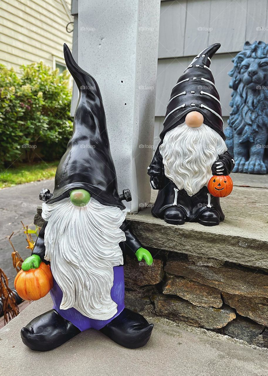 Garden gnomes dressed up for Halloween 