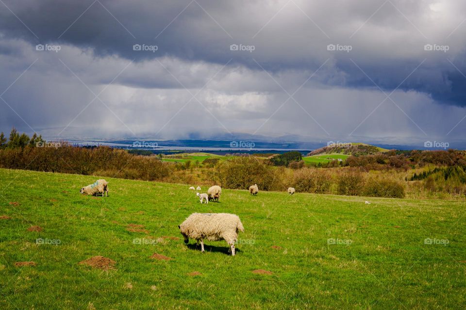 April Countryside