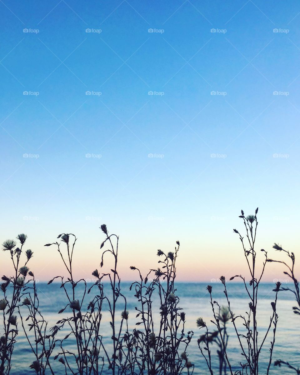 Nature, Sky, Beach, Summer, Sun