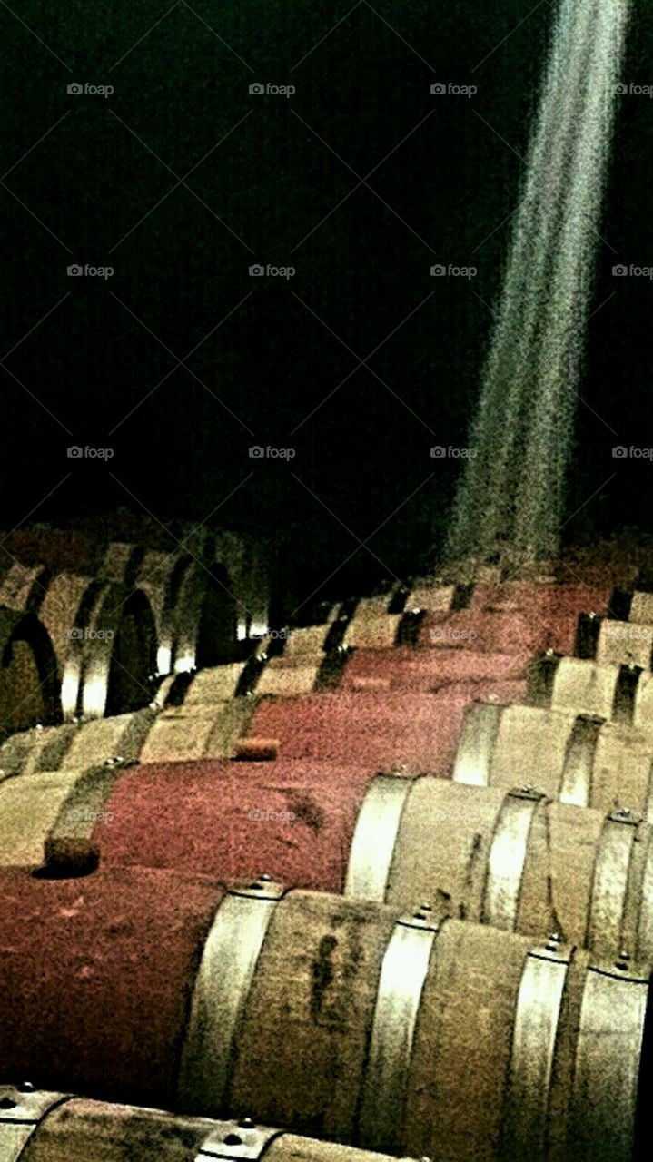 Wine Barrels. Chianti aging in Tuscany