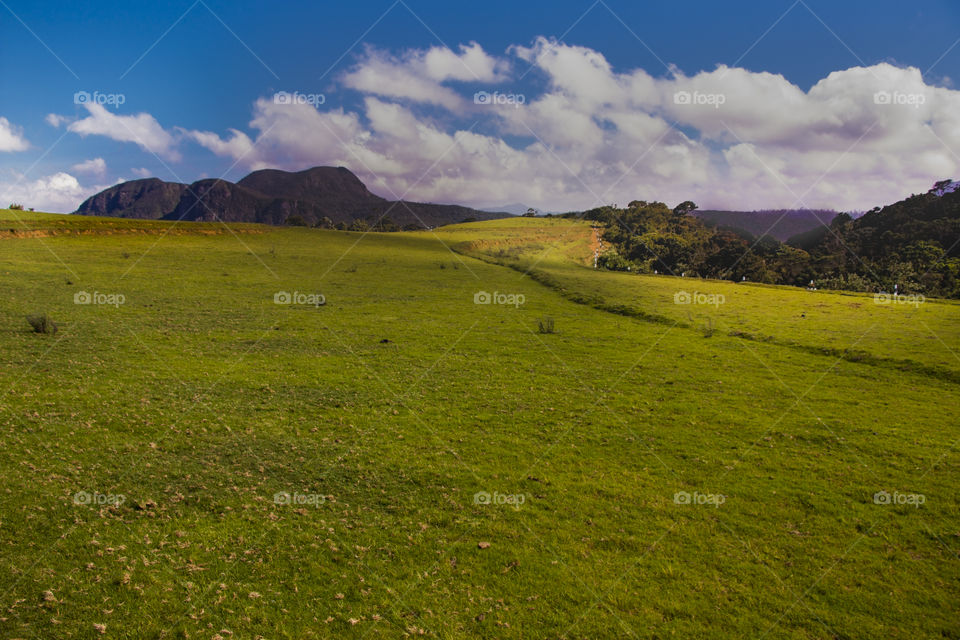 Beautiful  nuwara eliya, Srilanka