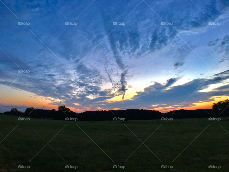 Sunrise over the trees.