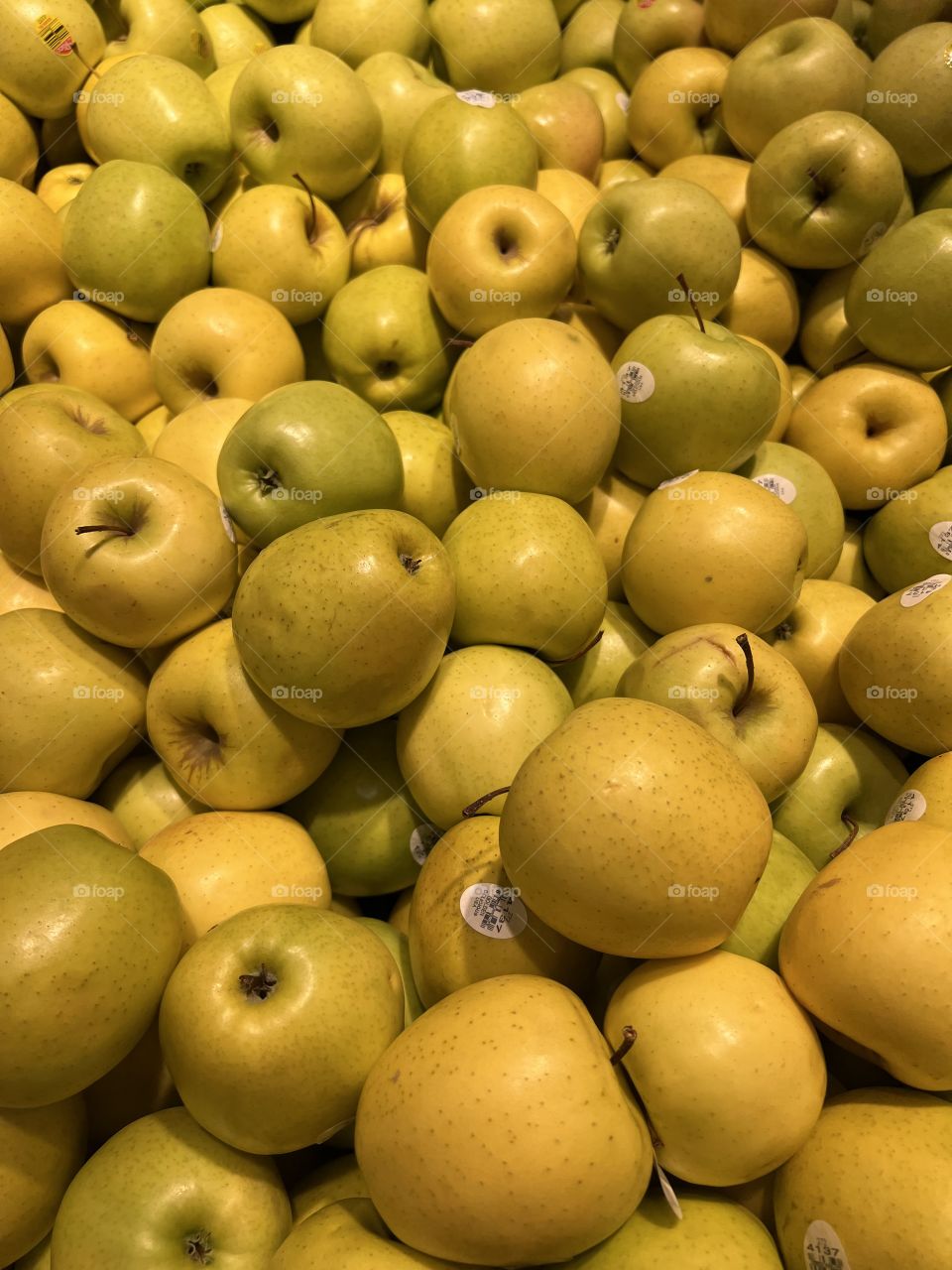 Golden Delicious 