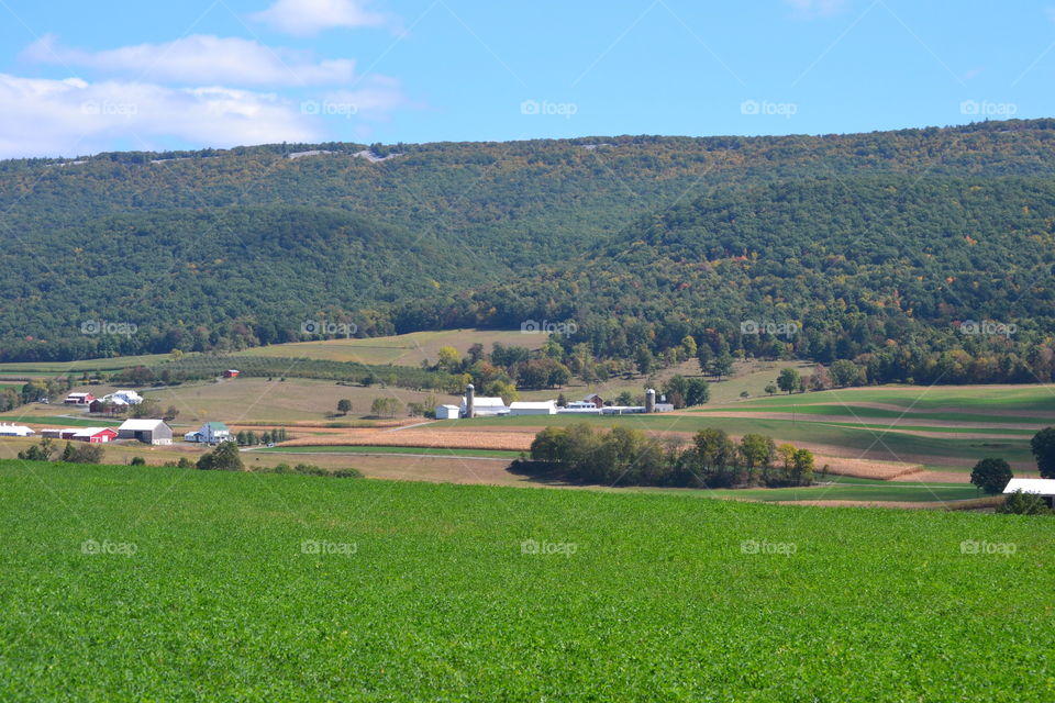 Farm field in Pennsylvania.
