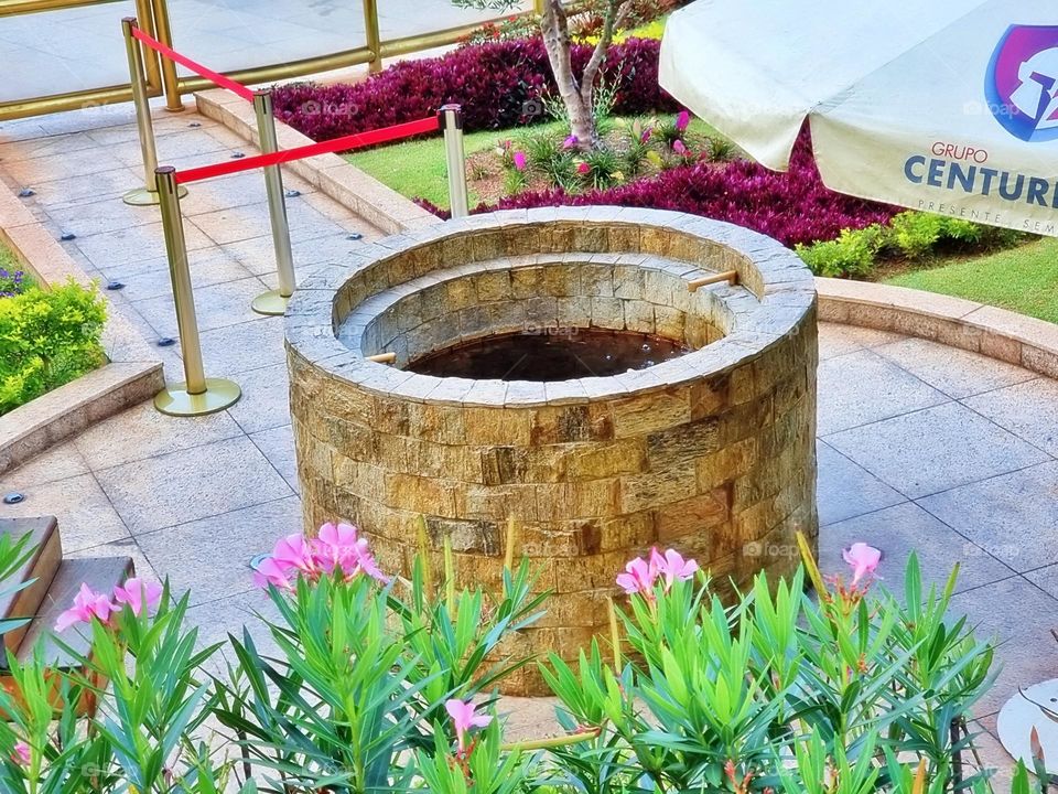 textile peony boho elegant branch season classic collection element colorful luxury paint beautiful tropical frame artistic wild holiday greenery exotic botany foliage romantic beauty petal rose decor flora natural ornament flower floral summer sprin