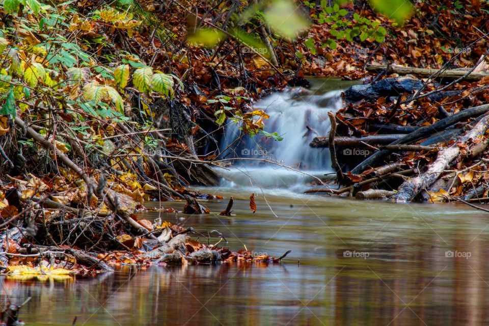 Herbstfarben