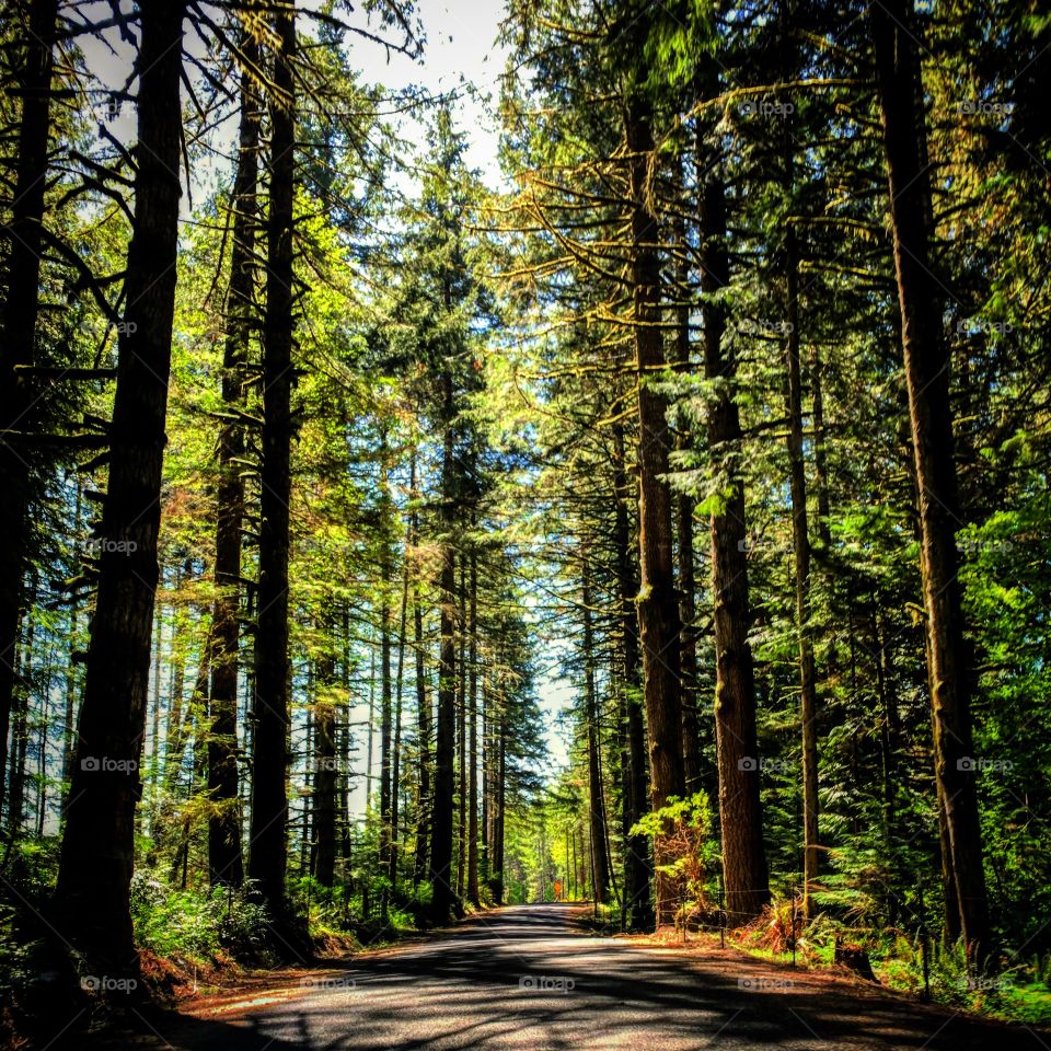 Take in nature, it’s so unexpected what you will learn about yourself if you sit and listen. 