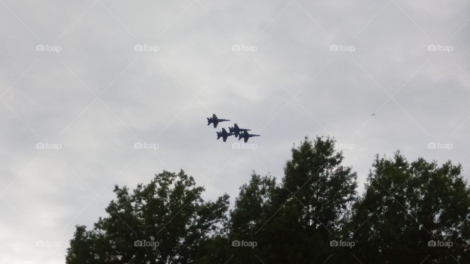 blue angels in the trees. blue angels at the willow run air show