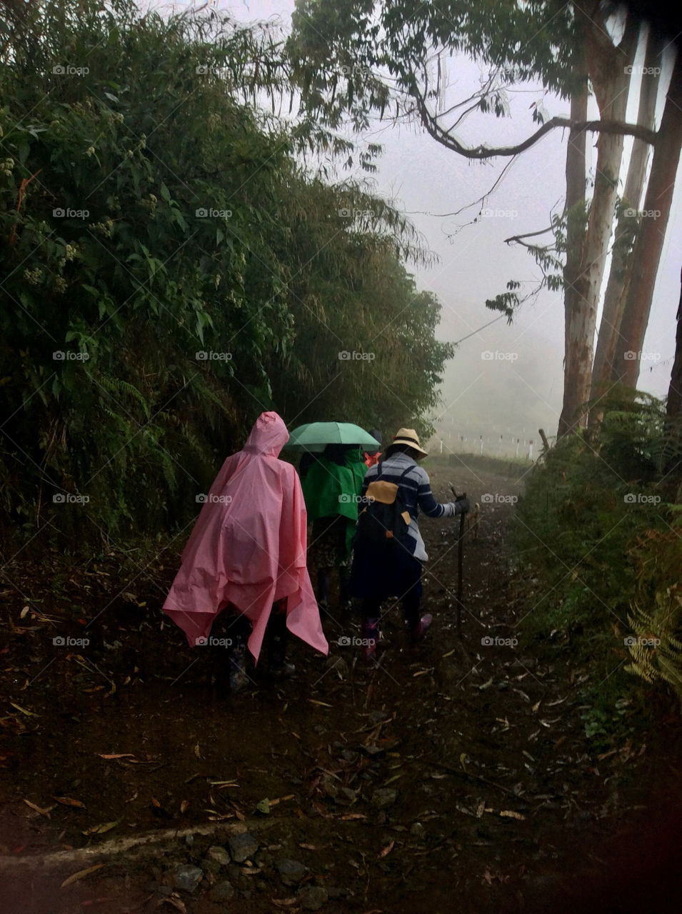 Bajo la lluvia 