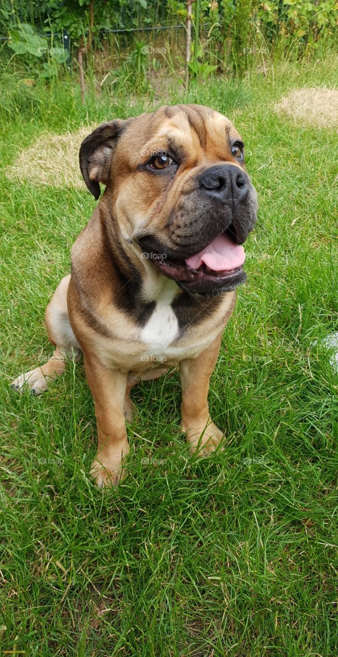 Oh look at this good boy here