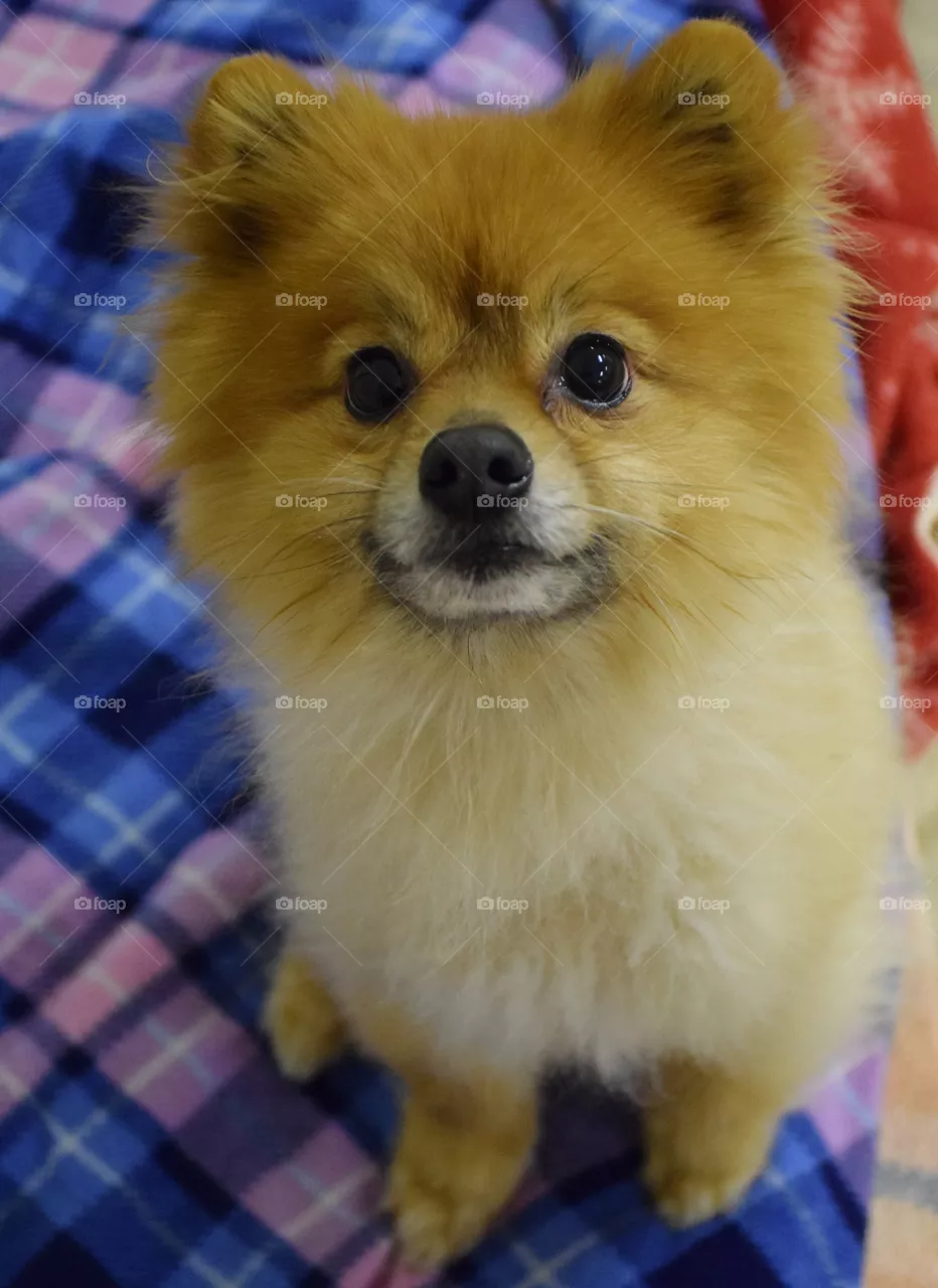 cute