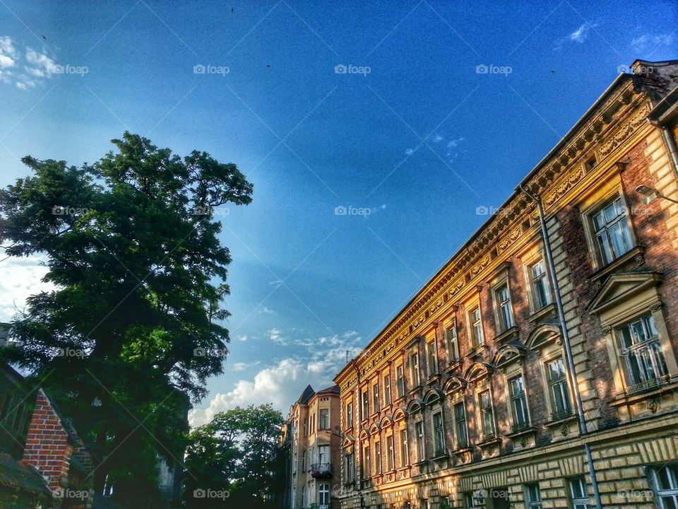 sunny day on the old Krakow