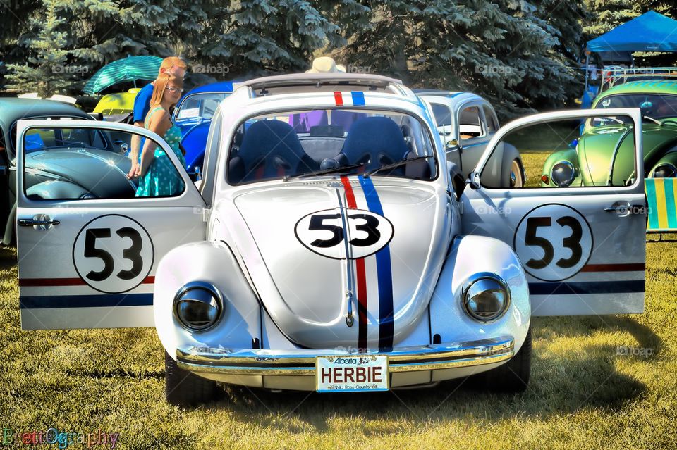 Herbie!!