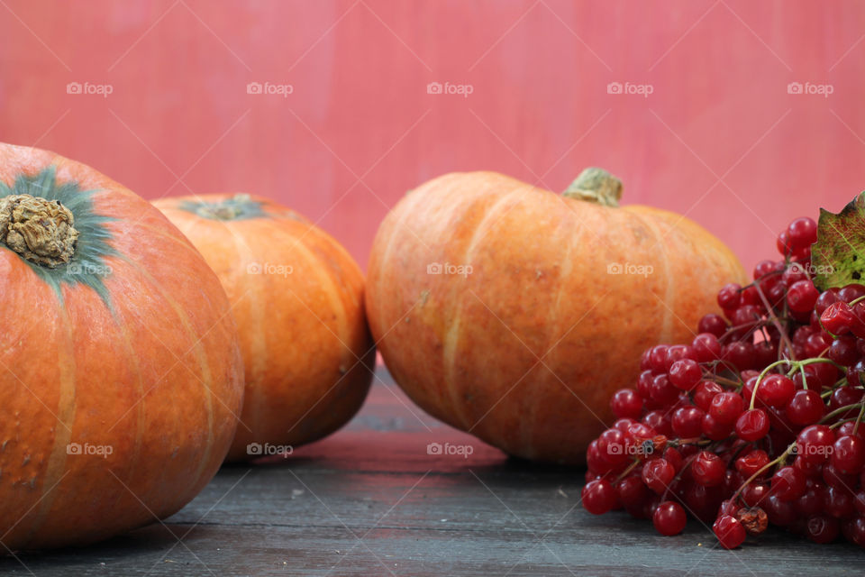 Vegetables, Halloween, pumpkin, corn, harvest, fertility, agriculture, food, cones, forest, birch branches