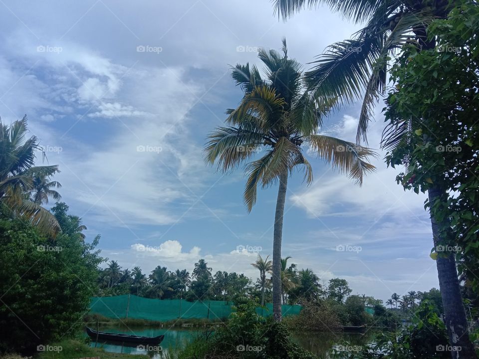 The beauty of the clouds and the tree