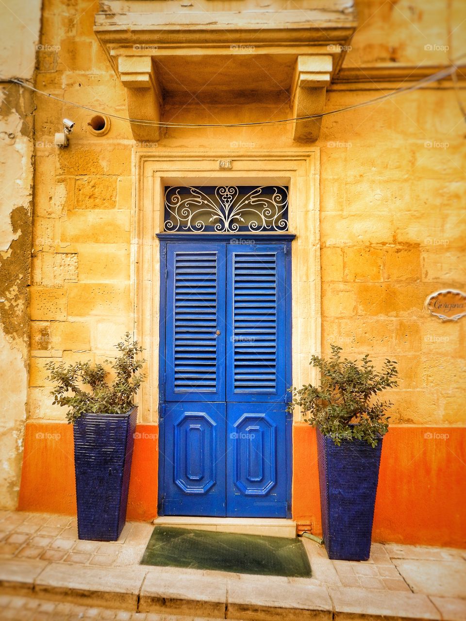 Blue door with plants outside