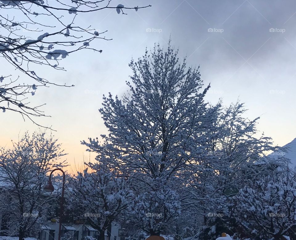 Sonnenuntergang Schnee Schatten weiß orange hellblau kalt Stimmung Atmosphäre Winter Januar 