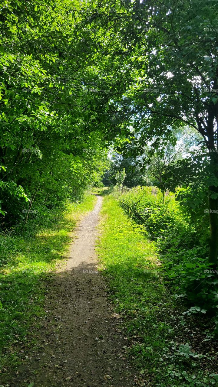 Spaziergang im grünen
