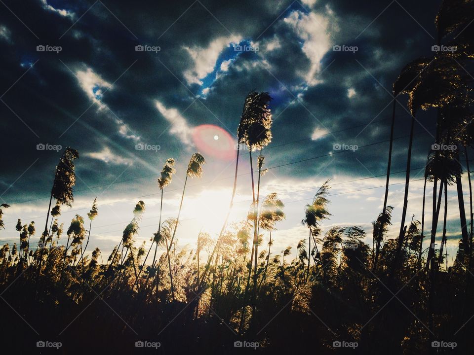 Sunset, Sky, Sun, Nature, Landscape