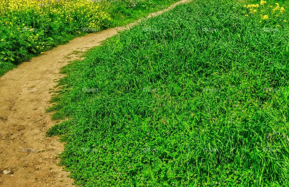 California coast hiking trail