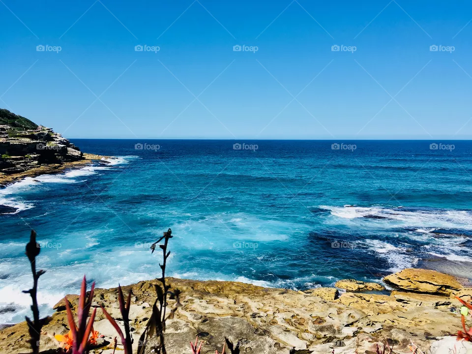 Ocean 