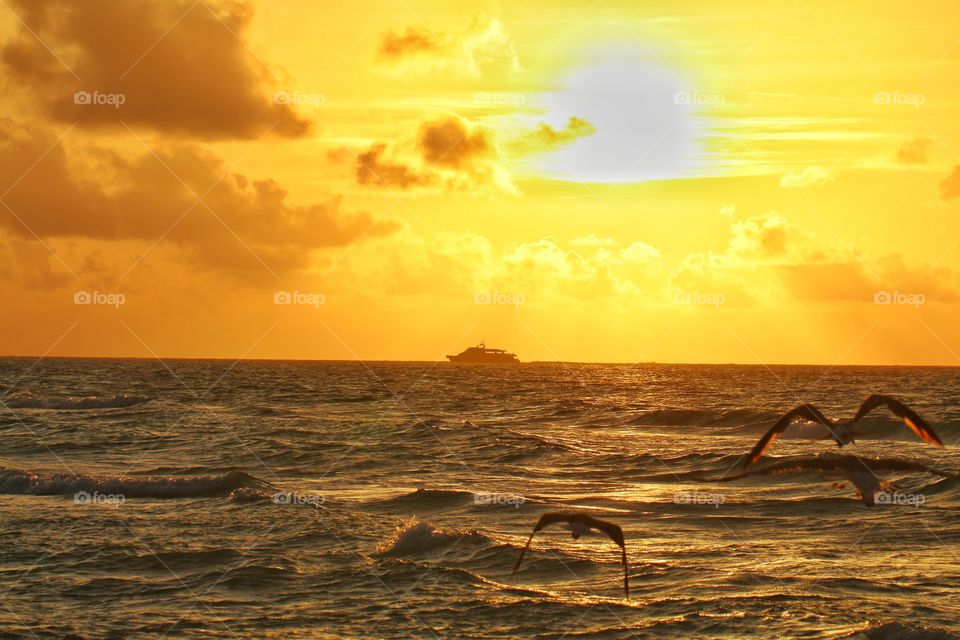 seagulls flying under sea with ship navigation on the horizon